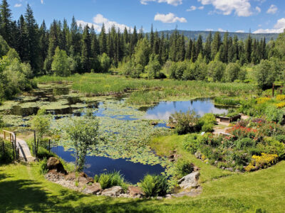 Edgewood Blue Edgewood Blue